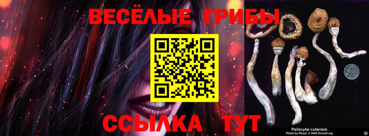 Галлюциногенные грибы GOLDEN TEACHER  Вход с VPN  Верхняя Пышма 